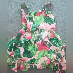 Janie and Jack 2t dress